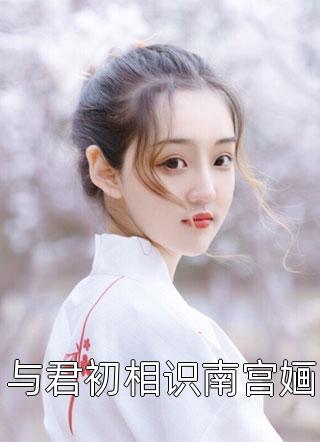 全集阅读明末之力挽狂澜