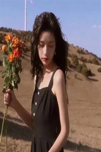 热门小说多子多福！大明皇室子孙昌盛