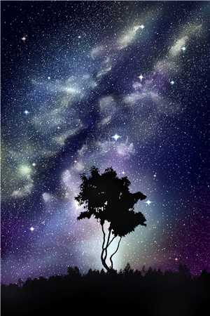 完整版被家暴致死？我打的全家嗷嗷叫