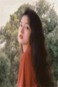 畅销书籍总裁追妻，夫人已经火化了