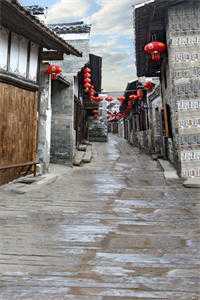 畅销书籍重生神医：团宠五岁半虐渣忙