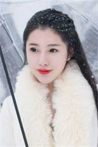 城市里的女巫畅读全文