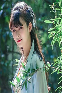 火爆小说我，杂役弟子，剑道无敌