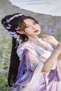 触不可及小说