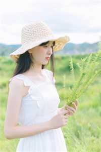 毒舌知府俏厨娘阅读小说