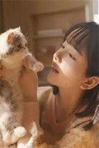 全集小说阅读慕尔如星