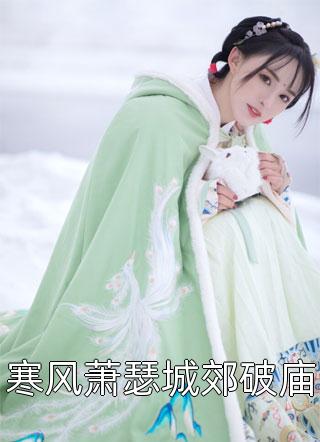 小说叶宁顾锋全文阅读