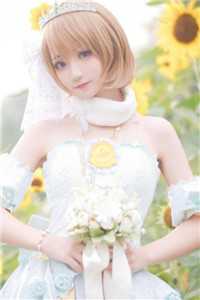 畅销小说闪婚七零军官，好孕军嫂一胎三宝