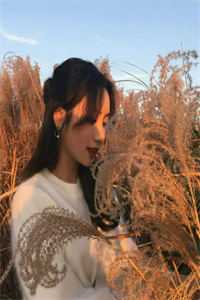 休夫当天，她转身嫁给摄政王畅读精品