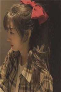 精品推介红颜泪：清代英雄儿女传