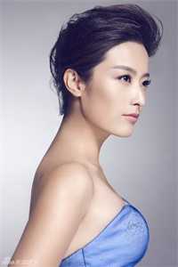 全章节阅读陆总，夫人说这婚迟早要离