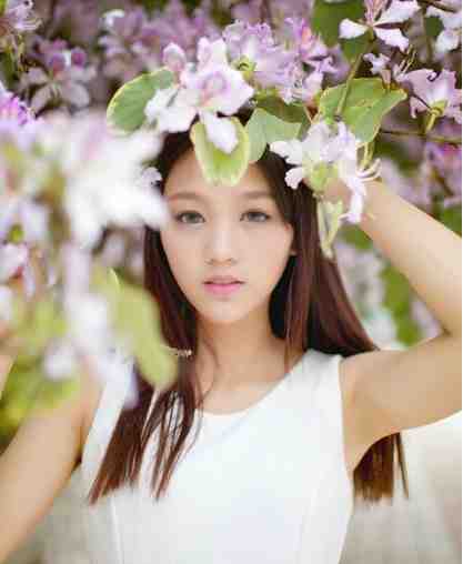 精修版首辅大人的宠妾