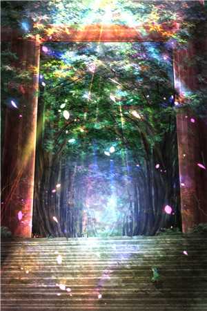 轮回不朽，横扫诸天完整阅读