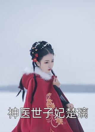 火爆小说国之栋梁