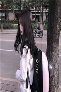 大景逍遥王长篇小说