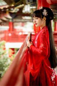 君夺臣妻？和离后我入主中宫小说