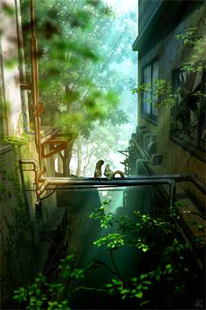 权路畅销巨作