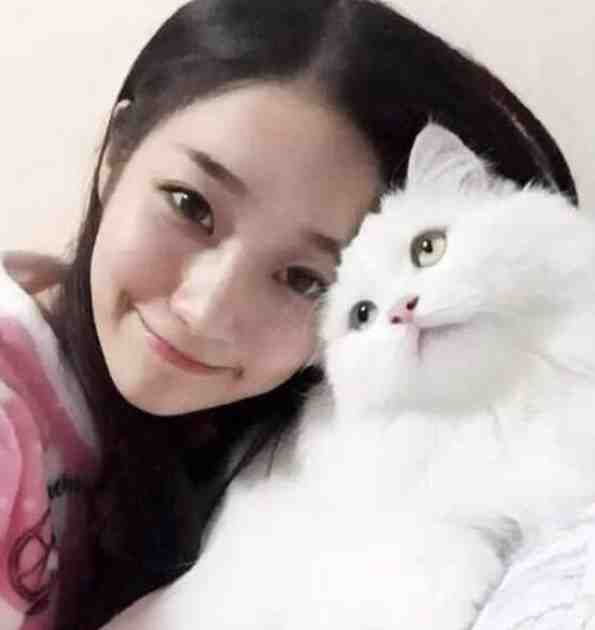 娇妻来袭：叶少，抱一抱