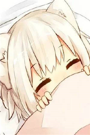 谋定天路