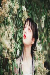将门王妃：摄政王的掌中娇太魅