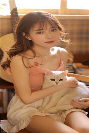 她毅然离婚！前夫追妻火葬场完整版