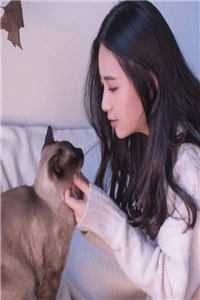 王爷每日一问，小妾今天宅斗了吗