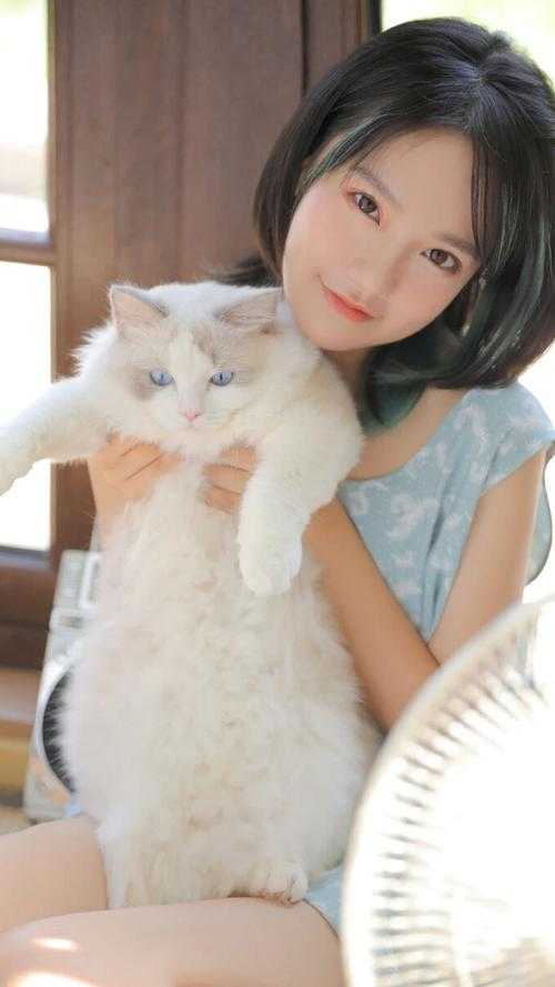 精选小说神豪：开局绝美总裁就给我生孩子