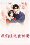 全集小说愿来生，与君常相伴