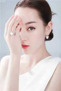农婿无双