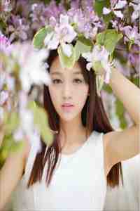 我的九个女神老婆全章节