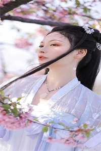 小说截运道师