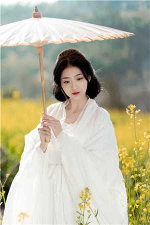 全文小说辞职后，捡了一个美女总裁