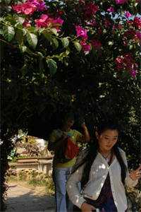 完整文本养成反派女主后，她们追来了