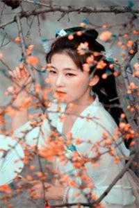 度女修仙录