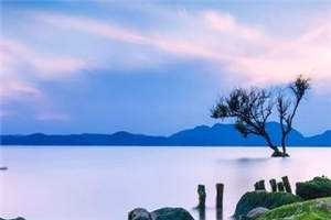 反派：不当舔狗后，冷艳校花急哭了全集阅读