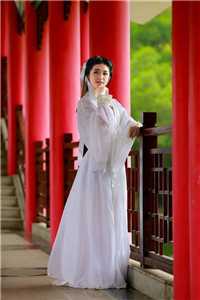 精彩小说江山似画美如颜
