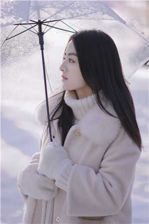 全文开局退婚，她怒踹渣夫搞事业