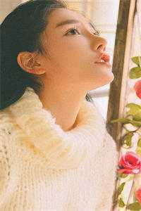全章节阅读青云红颜香