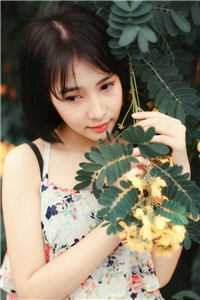 综武：迎娶女魔头，举世皆敌全文小说