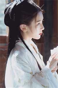 全本阅读七个女儿天下无双