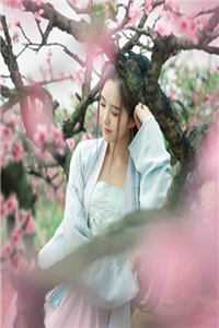 精品小说将门王妃：摄政王的掌中娇太魅