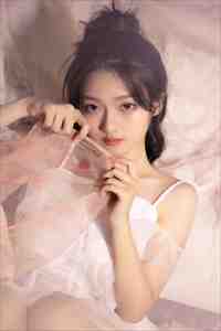 热门小说万古帝婿