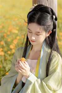 太子容貌不凡，禁欲女神医爱疯了火爆小说