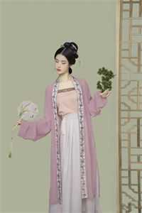 我真的只想做宰相全集阅读