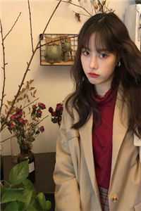 畅读精品机娘时代：开局SSS天霆号机娘