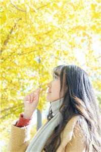 全文完结侯府有美人