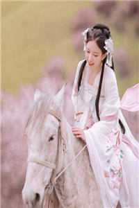 全本小说世子夫人名满京城