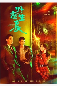 全文版世子太凶猛：闯相府抢姑娘