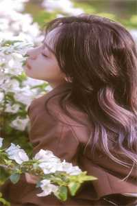 畅销小说我的27岁绝美女总裁