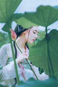 逆袭1982精选小说推荐